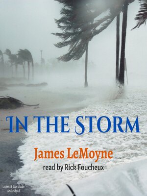 cover image of In the Storm